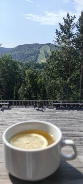 ��� �������� ������� �������� �� ��������: ������� ���� ��������