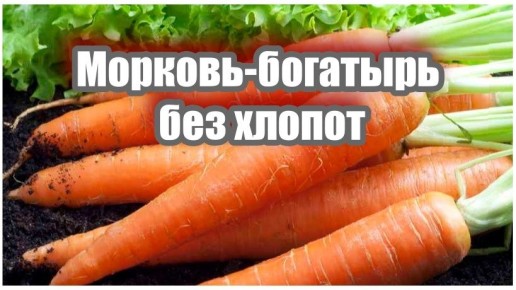 Как 'умные грядки' изменяют подход к огородничеству: урожай подрос на 40%