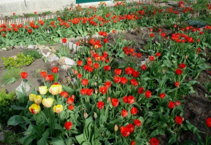 �������� � ����: ���������� ���� ��� �� ���������