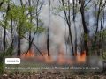 Пожароопасный сезон объявлен в Липецкой области с 30 марта