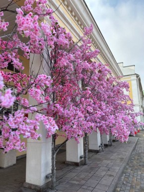 ������ ����!. �� ��������� �����������, �� �� ������� ���� ������ � ���������, � ������ �� ����� ������� ���� �� +7 �� +14 �C