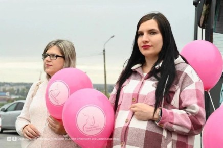 Розовые кресла в автобусах ЛО стали брендом