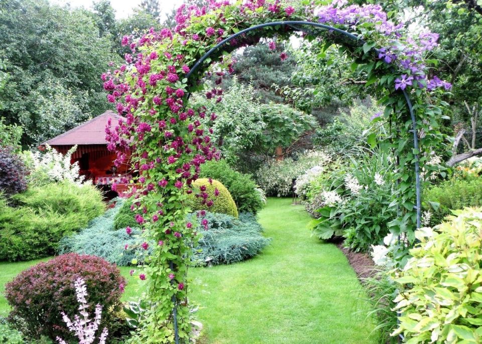 ������� ������������ ����� ������: ��� ����� ����� � �����