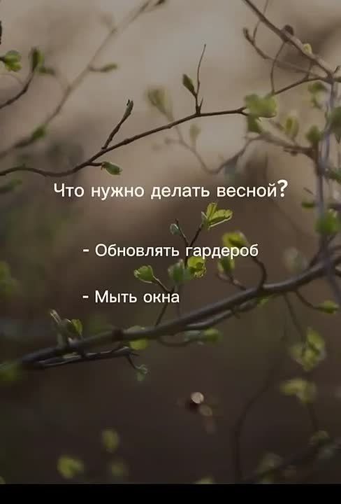 4 ������ � ����, ������� ����� ����� �������� � ���������