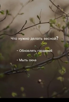 4 ������ � ����, ������� ����� ����� �������� � ���������