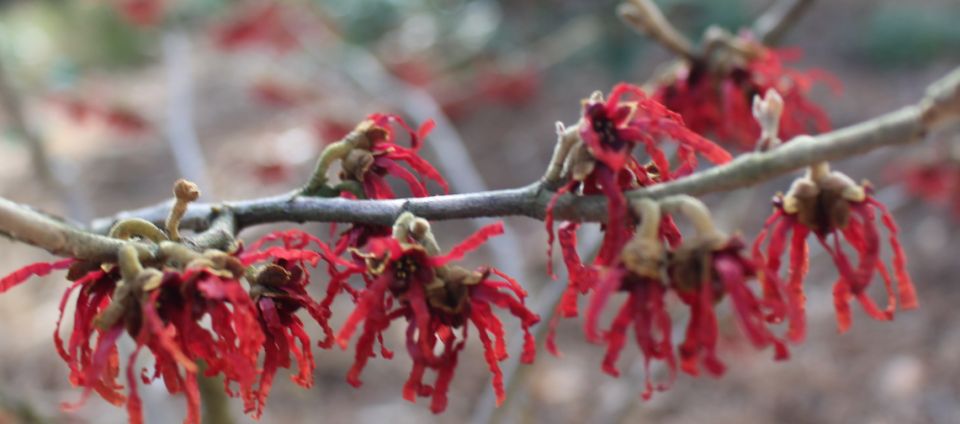 ���������� ���������� �����������: ����� ���������� ������ � ������������ �����������