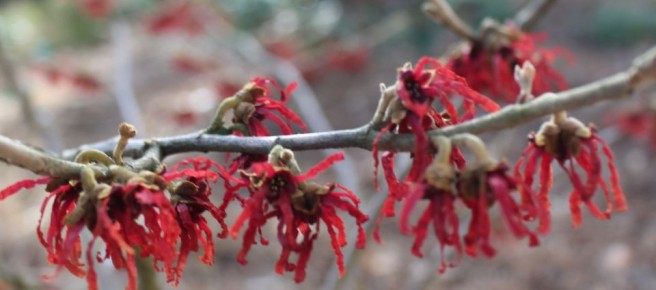 ���������� ���������� �����������: ����� ���������� ������ � ������������ �����������