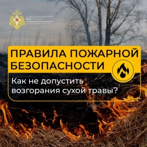 Не жги сухую траву – это может привести к трагедии!