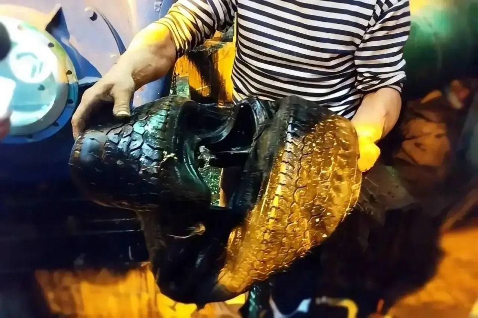 ���� ����� �������� ��������� ������������ ��������������� �������