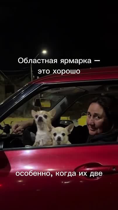 �� ���� �� ������ � ��������� ��������� �������