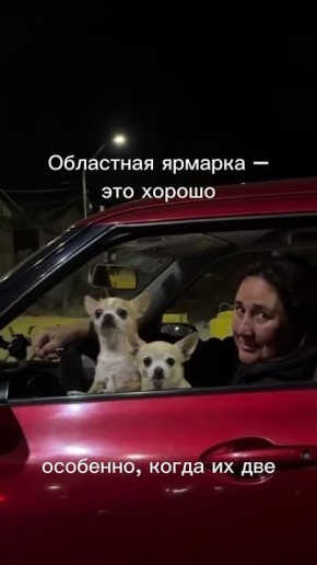 �� ���� �� ������ � ��������� ��������� �������