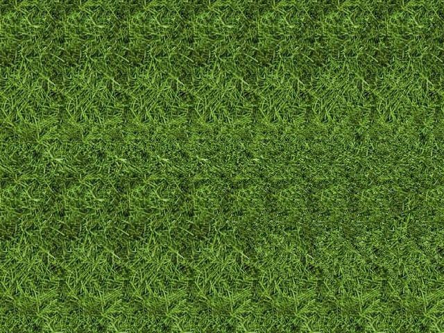 ��������� ������ ���� ���������� ��