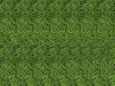 ��������� ������ ���� ���������� ��