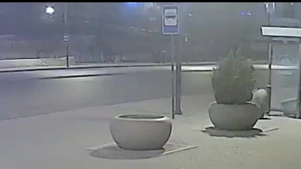 �� ����������� ������� ��������� �����