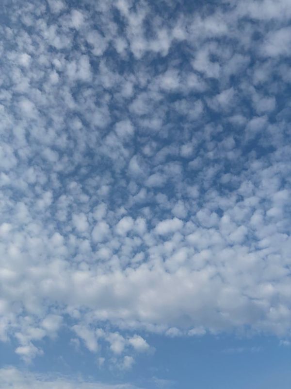 ������ ����!. ������� ������� ������� ��������� �������� ������ ���� �� +8 �� +10