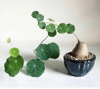 ��������� ��������: ��� �������� �������� ������� �������� ������?