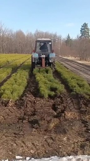 ������ ������� �� ��� � �� ����� ���� �������