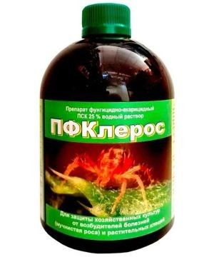 ��� ������ �������� �������� ���������� ��� � ����� ��������: ���, ��� ����� �����