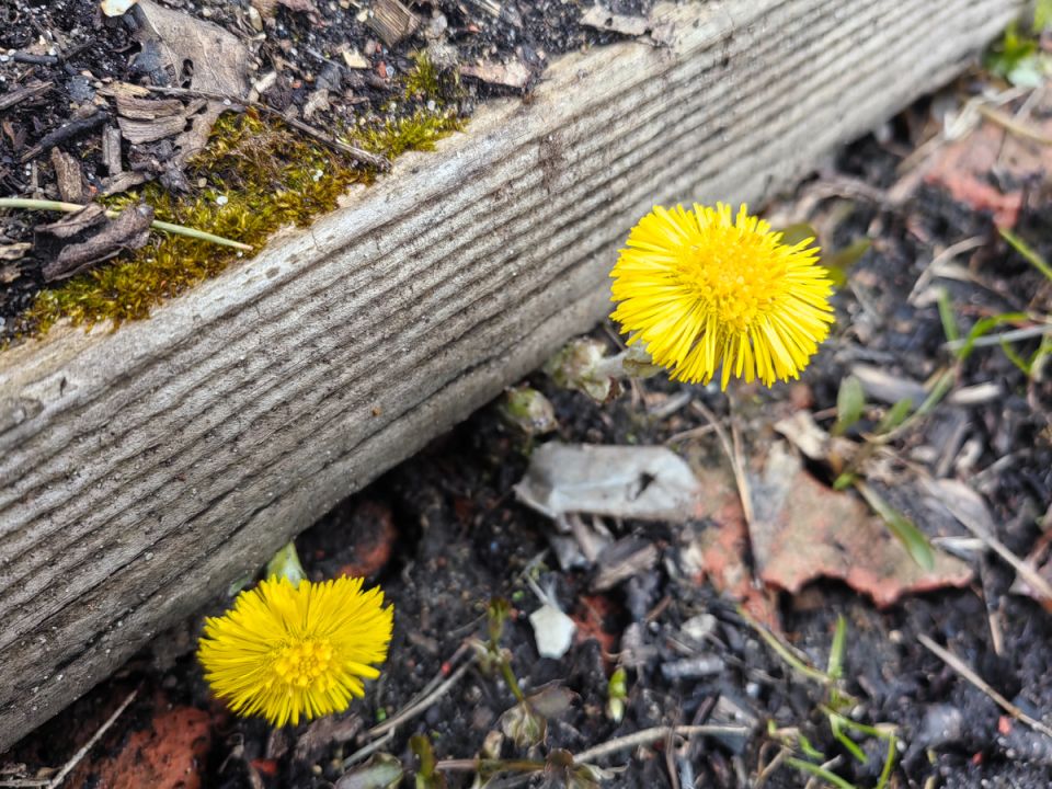 ������� �������: �������� ������� ������ � ���� �� ����������