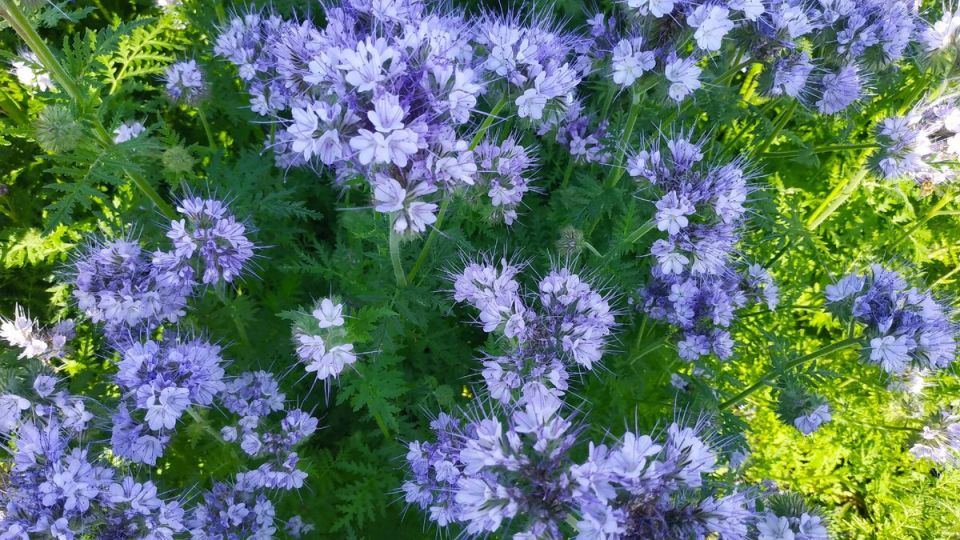 ��� �������� �������� �������� �������� ����� �� ����� �������