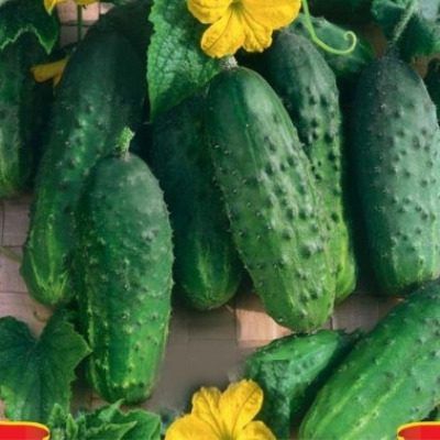 ������ ����: ��������� ����� ��� ������� � ��������� �������