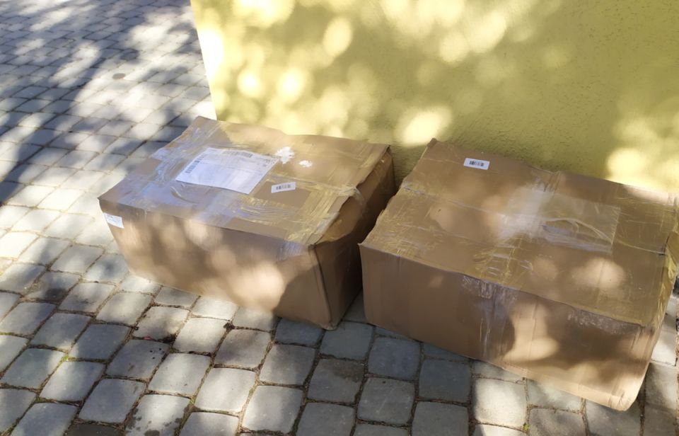 ����� ��������� ����������� ���������: ����� �������� � ����������� Garden Plants