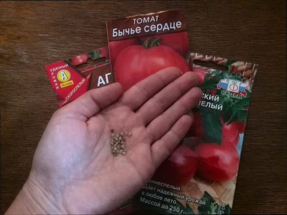 ��� �������� ��������� ����� �������: ����������� ������ �� ���������