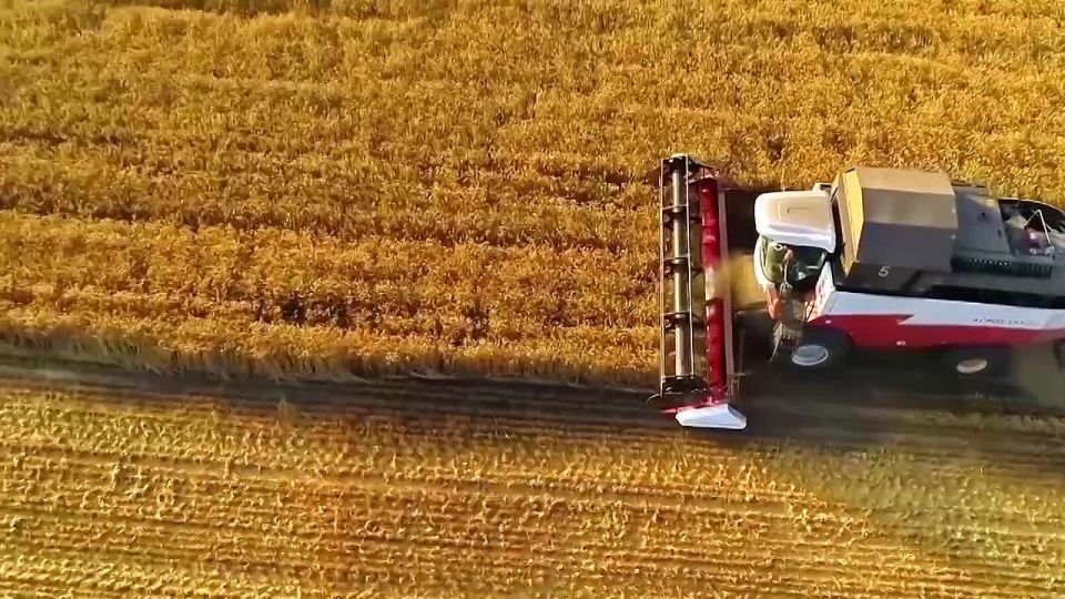 ������� ��������: ����� � ��������� ����� ��������