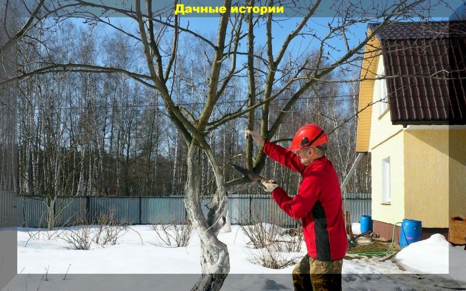 ������� � ����: �������� ����������� ��� ��������� ������ ������