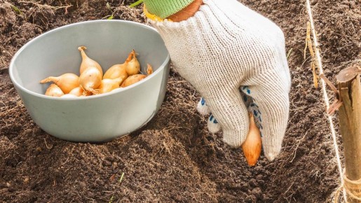 ��� ��������� ������ ��� ����� ������ � �������� � �����