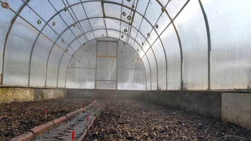 ������ �����: ����������� �������� ��� ������ � ����������� � ���������