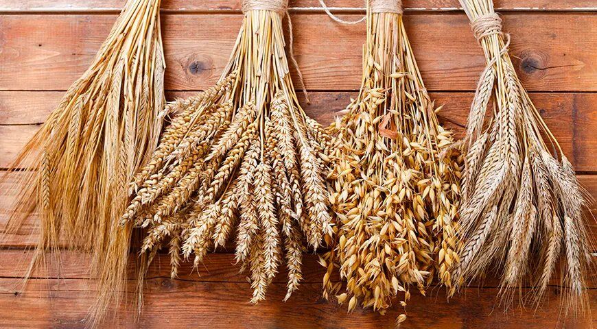 ������: ������������ ����� � �������� �� �������