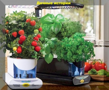 ������� ��� �� �����������: ������ ���� � ��������� ������� �����