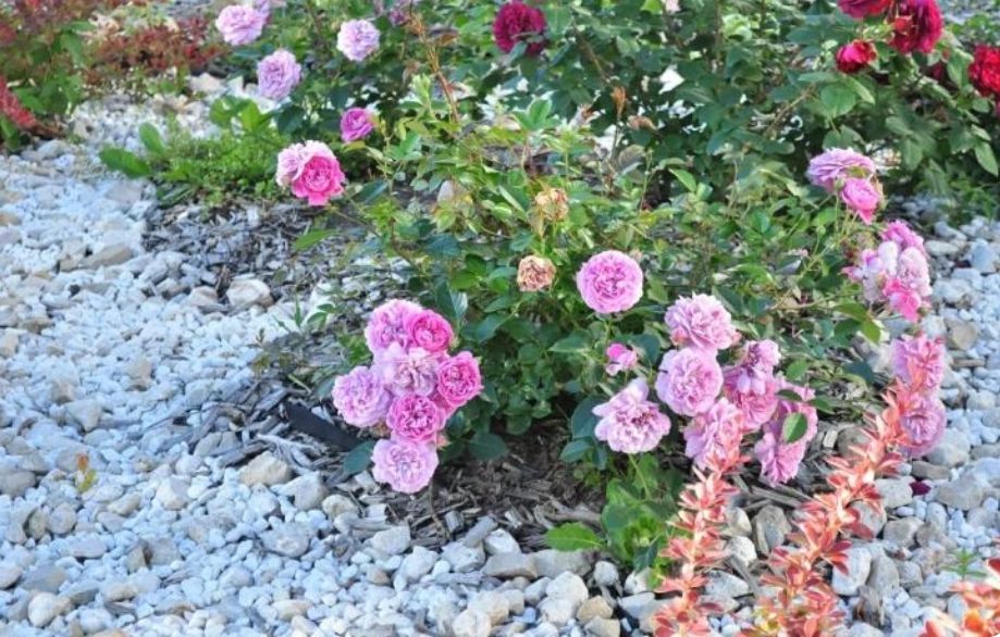 �������� ���������� �������: �� ������ �� �������