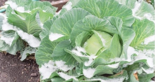 ������� ��������� ������ ������� ��� ���� ��� ������� ������