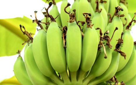 ������ ������ �������: ��� ����� �����