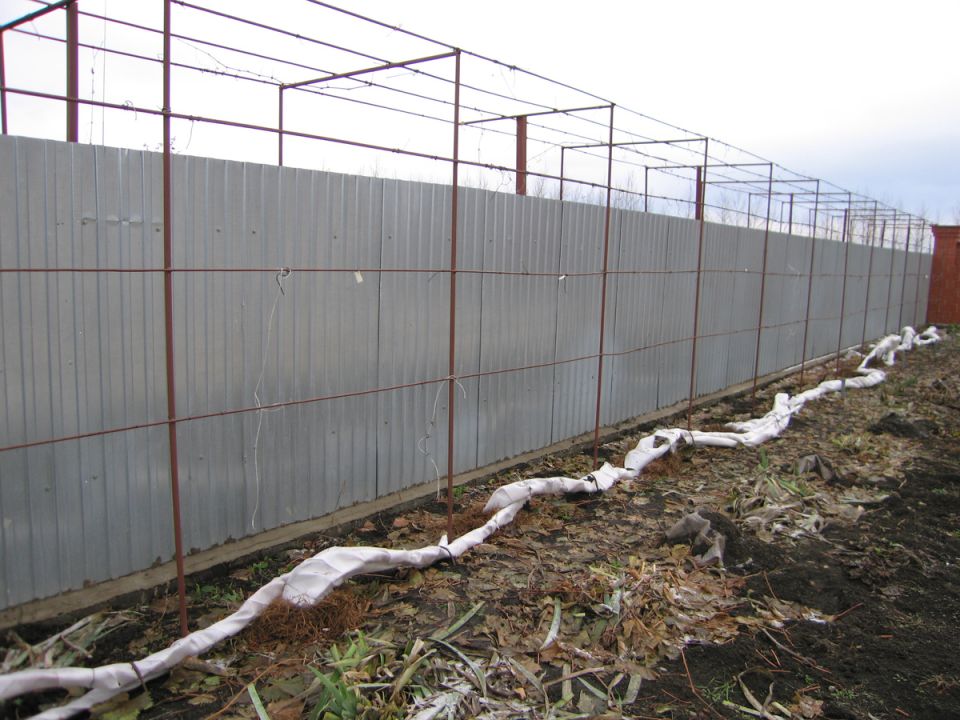 ������ ������: ��� ������� �������� � ���� �� �����