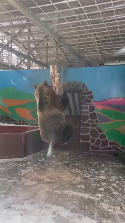 �������, � �������� �������� �������� �������� ������-���������