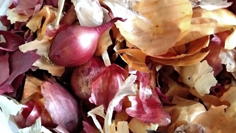 ������� ������: ��������� ��� ������ ���� � �����