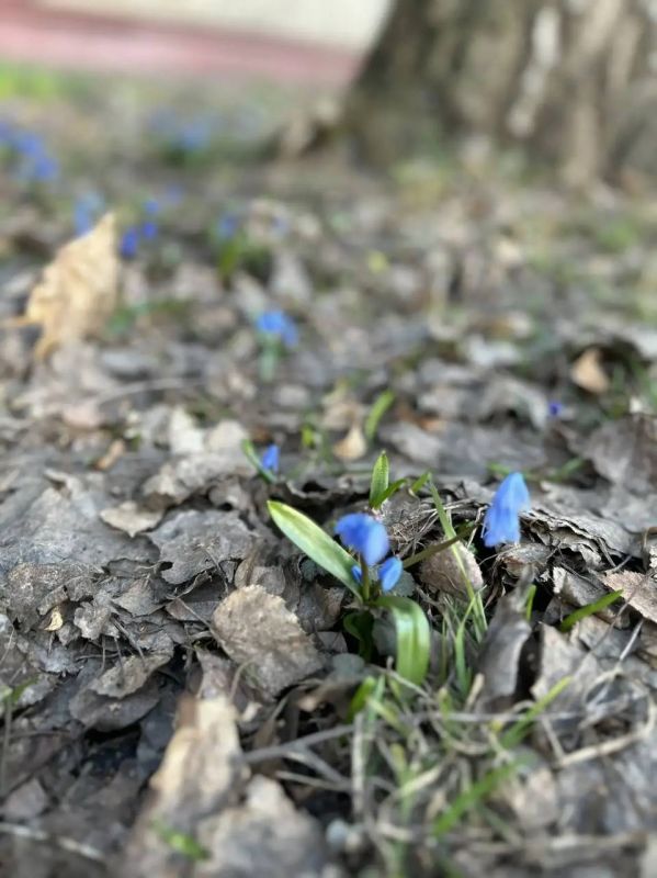 Доброе утро!. Четверг, 9 апреля – вчера дождя так и не дождались, зато сегодня он решил отыграться за всё Днём от –2 до +3
