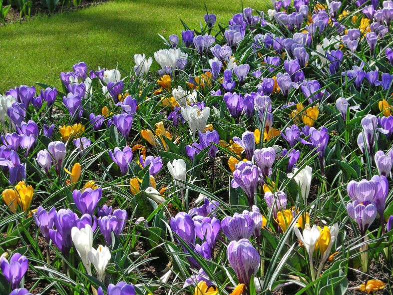 ����� ������ �������: 13 ������ ��� ��������� �����������