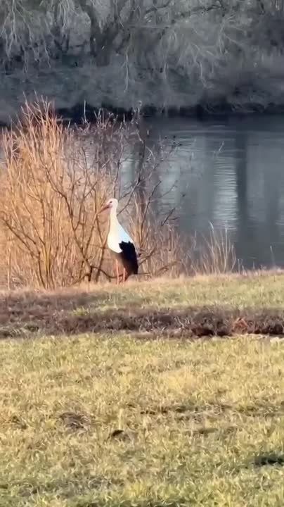 ���� ����� � ���� � ������� ������