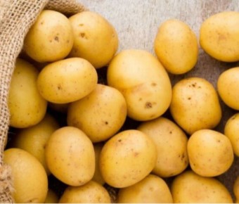 ��������� ����: ������������� ���� � �������� ������������ ����������� � ��������