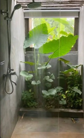 ��� ��� ��������� ��������: ��� �������� �� �������� � �������