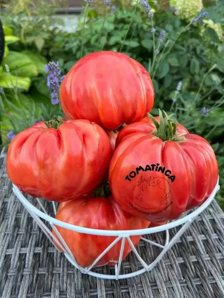 Итальянский гигант томатов: секреты успеха с Пальмиро Алессандро