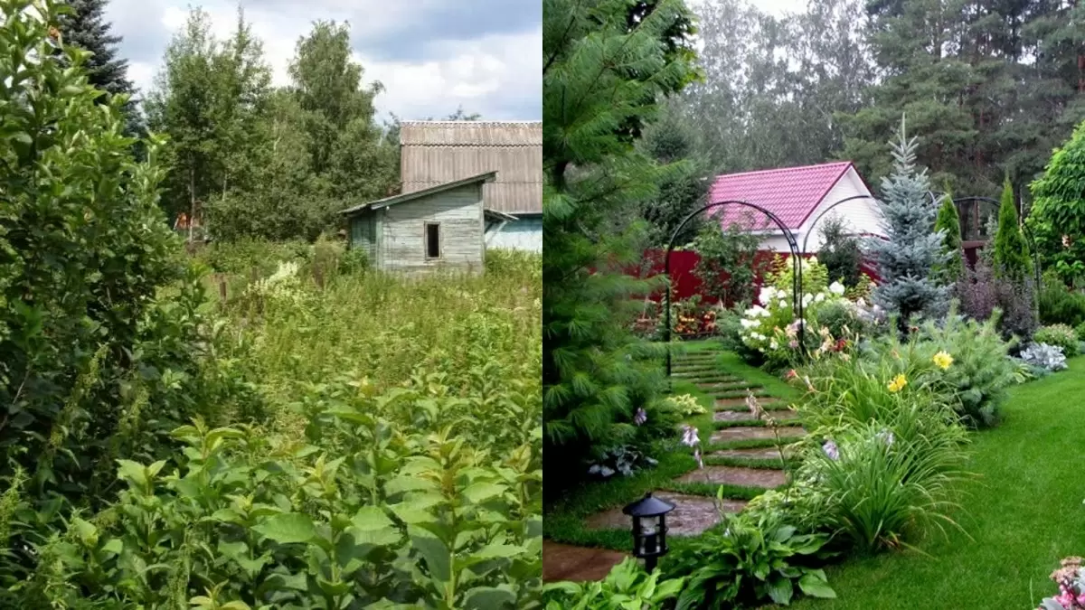 Как быстро и бюджетно преобразить дачный участок: от заброшенности к красоте