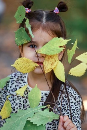 ����������� ����: ��� ������� ������� ������������� �����