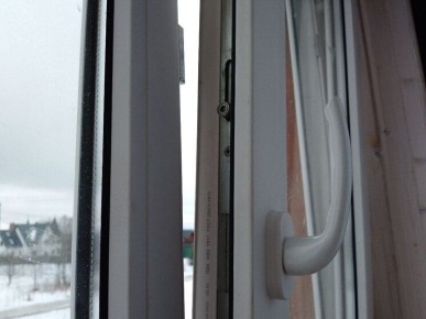 Как избавиться от плесени: советы экспертов