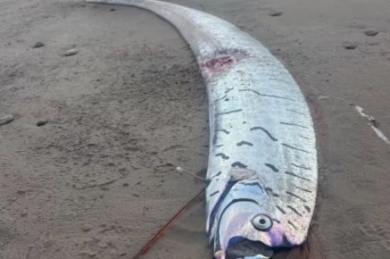 ���������� ������� �� ��������: ���� ������� ��� � �� �������