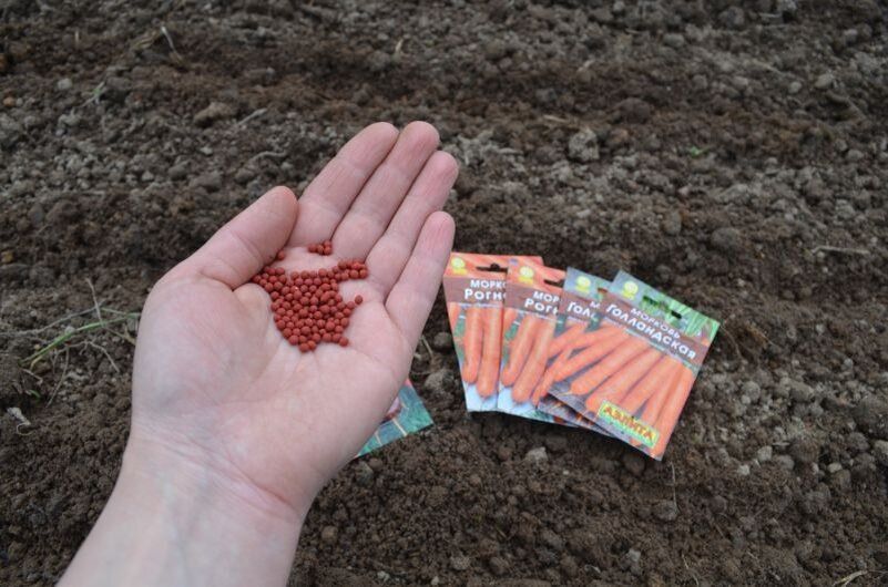 ��� ��������� ����� ������� ��� ����: ������� ������